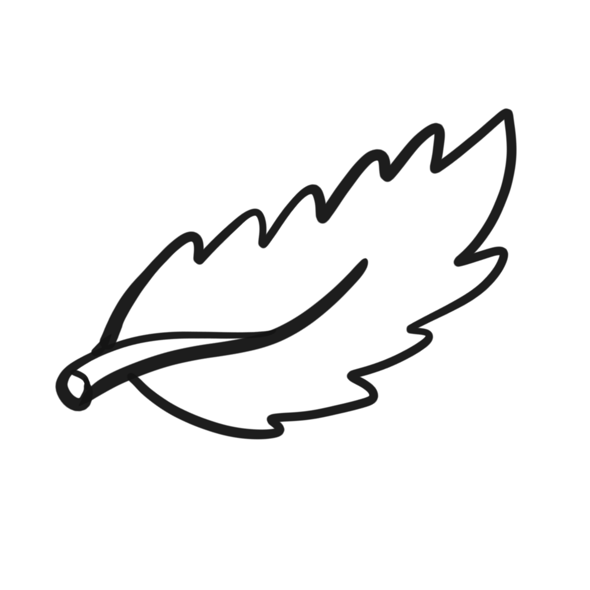 nesto_regularcat-leaf-10471840_1920